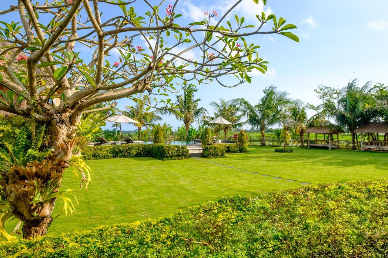 Canggu Wooden Green Paradise Exterior foto